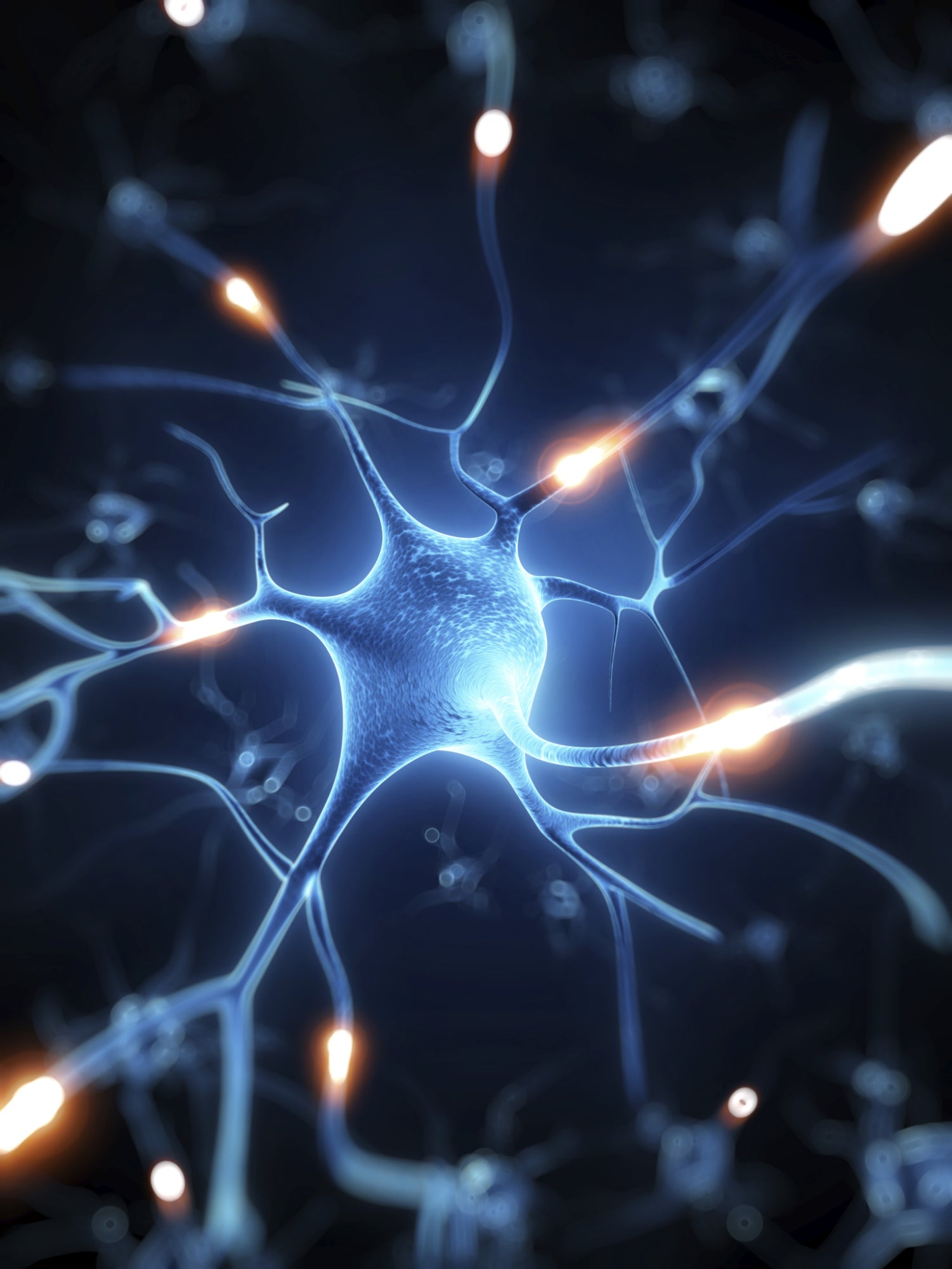 ¿Qué es la neuroeconomía?
