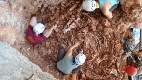 Trabajos arqueol&oacute;gicos en la Cueva de los Rinocerontes