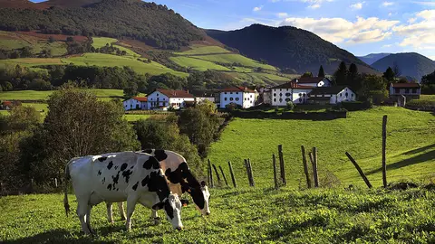 Valle del Baztán Valle del Baztán