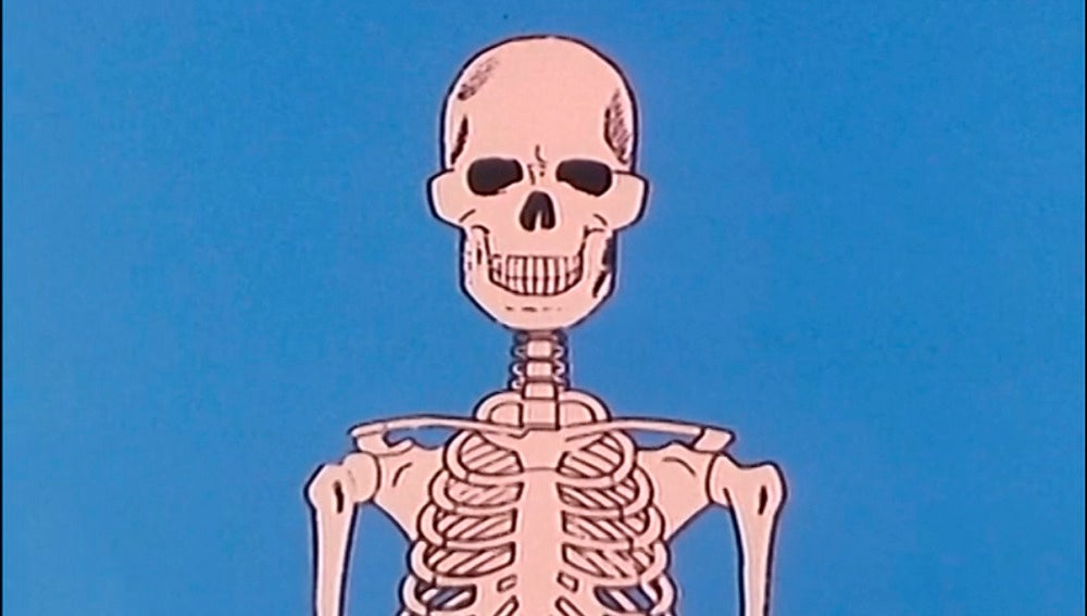 Los huesos y el esqueleto
