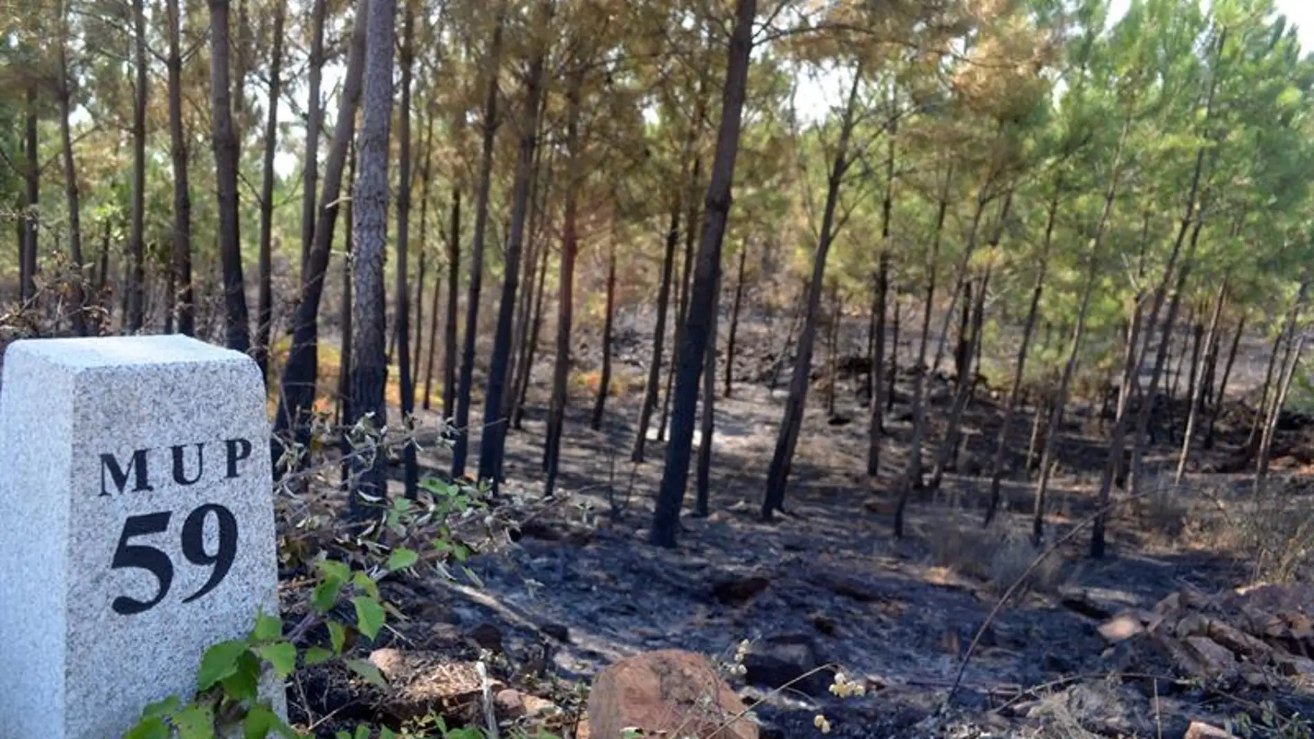 Estabilizado el incendio en la Sierra de Gata
