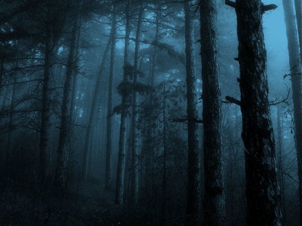 Encuentros con lo desconocido: Criaturas fantásticas Encuentros con lo desconocido: Criaturas fantásticas