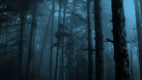 Bosque oscuro Bosque oscuro