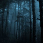Bosque oscuro