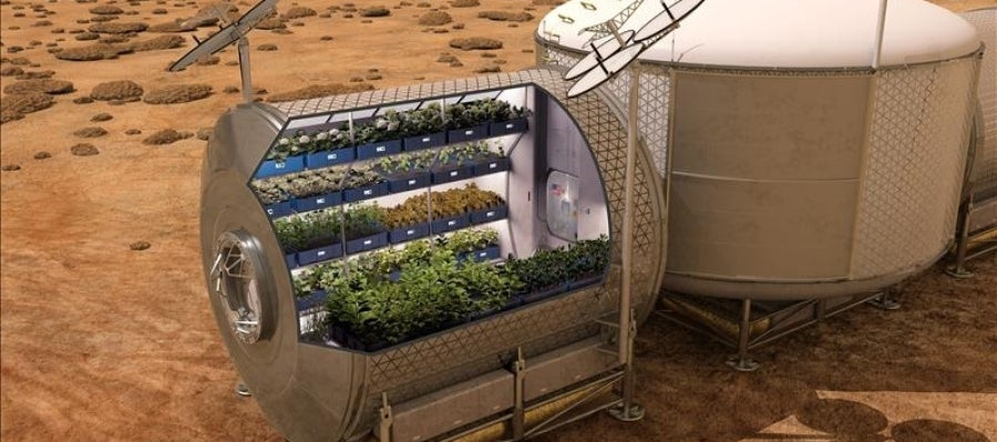 Recreación informática que muestra el cultivo de plantas en el espacio Recreación informática que muestra el cultivo de plantas en el espacio
