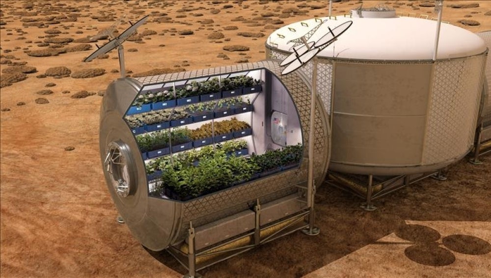 Recreación informática que muestra el cultivo de plantas en el espacio