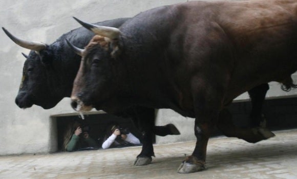 Preparado el dispositivo de seguridad de los Sanjuanes de Coria, que contará con Guardia Civil, policía o bomberos Preparado el dispositivo de seguridad de los Sanjuanes de Coria, que contará con Guardia Civil, policía o bomberos