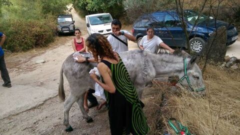 La burrita "Valiente"