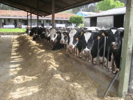 Extremadura, es la tercera Comunidad Autónoma con más explotaciones agrarias de titularidad compartida Extremadura, es la tercera Comunidad Autónoma con más explotaciones agrarias de titularidad compartida