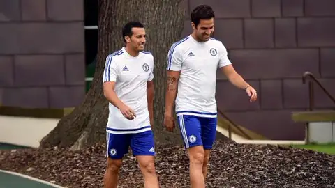 Pedro y Cesc, compañeros de nuevo en el Chelsea Pedro y Cesc, compañeros de nuevo en el Chelsea