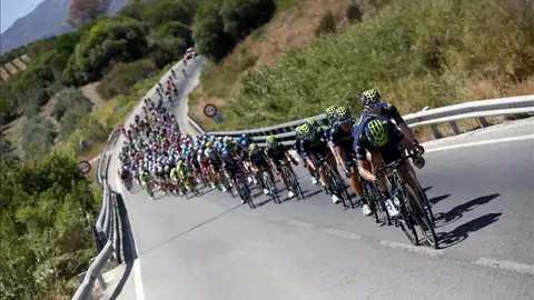 El pelotón durante la segunda etapa de la Vuelta a España El pelotón durante la segunda etapa de la Vuelta a España