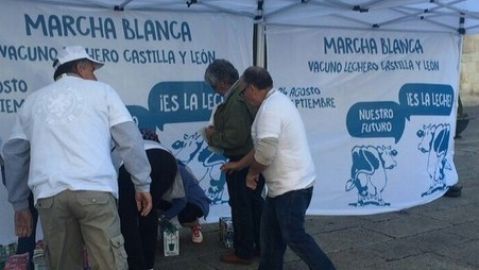 Marcha blanca