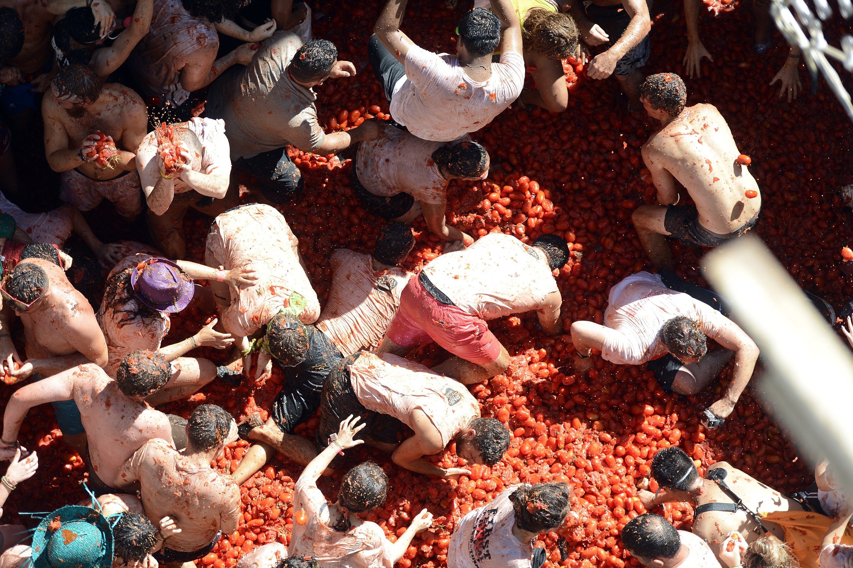 La Tomatina cumple 70 años y lo celebra con una cifra récord de tomates La Tomatina cumple 70 años y lo celebra con una cifra récord de tomates
