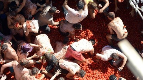 Tomatina 2014