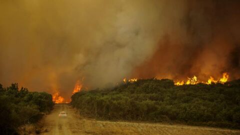Un incendio arrasa 2.000 hect&aacute;reas en Cualero, al sur de Orense 