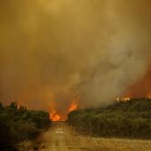 Un incendio arrasa 2.000 hectáreas en Cualero, al sur de Orense