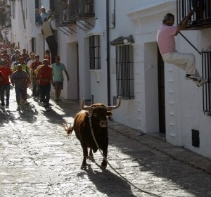 Toro soga Toro soga
