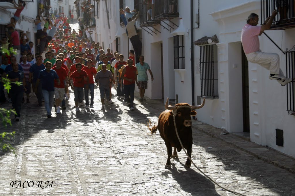 Pamplona en la Onda. 02/09/2015 Pamplona en la Onda. 02/09/2015