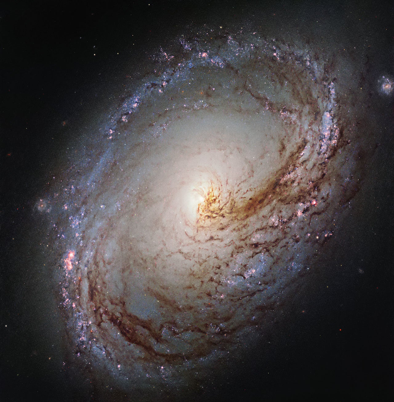 Pau Bosch: “La troballa de 12 nous planetes que s'ha fet a l'Observatori d'Albanyà no és gens habitual” Pau Bosch: “La troballa de 12 nous planetes que s'ha fet a l'Observatori d'Albanyà no és gens habitual”