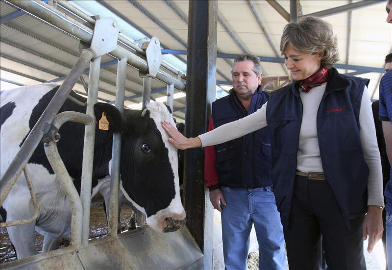 El Gobierno anuncia un acuerdo con el sector lácteo El Gobierno anuncia un acuerdo con el sector lácteo