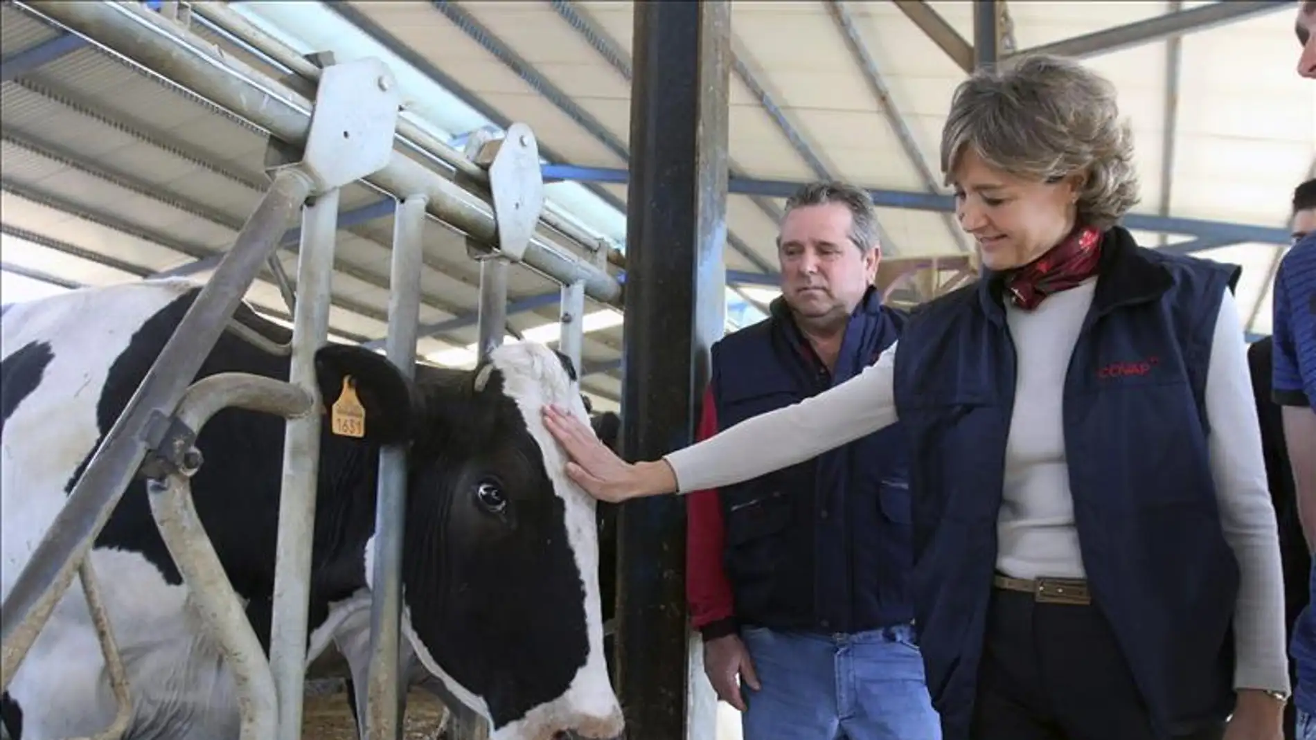 La ministra de Agricultura, Alimentación y Medio Ambiente, Isabel García Tejerina (d), acaricia a una vaca de una explotación ganadera.
