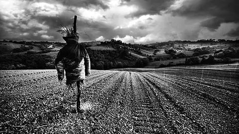 Rain on the scarecrow Rain on the scarecrow