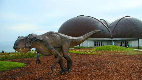 Museo del Jur&aacute;sico de Asturias (MUJA)