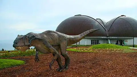 Museo del Jurásico de Asturias (MUJA) Museo del Jurásico de Asturias (MUJA)