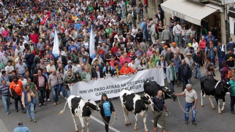 Marcha organizada por los ganadores gallegos por Santiago de Compostela