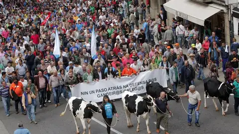 Marcha organizada por los ganadores gallegos por Santiago de Compostela Marcha organizada por los ganadores gallegos por Santiago de Compostela