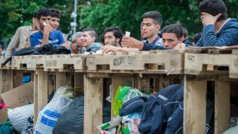 Refugiados sirios