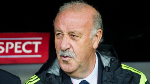 Vicente del Bosque, durante un partido con la selecci&oacute;n