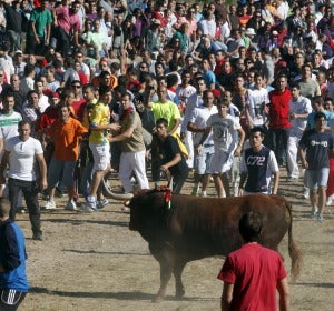 El Toro de la Vega El Toro de la Vega