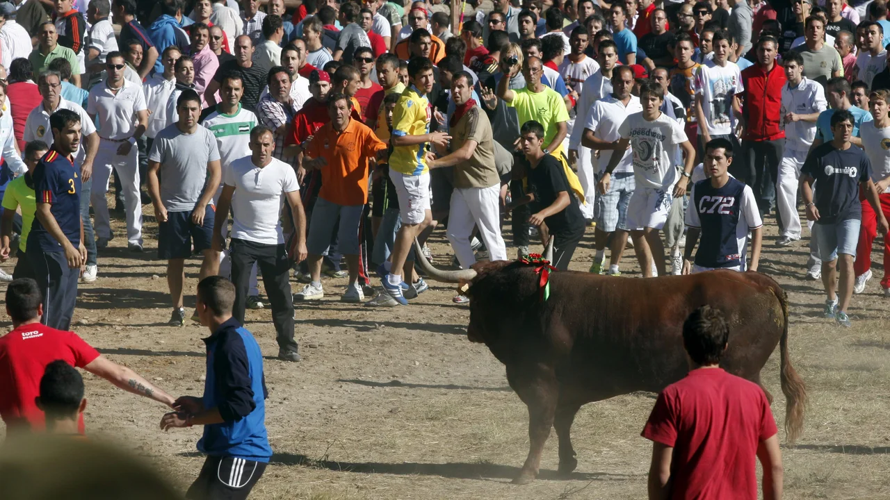 El Toro de la Vega
