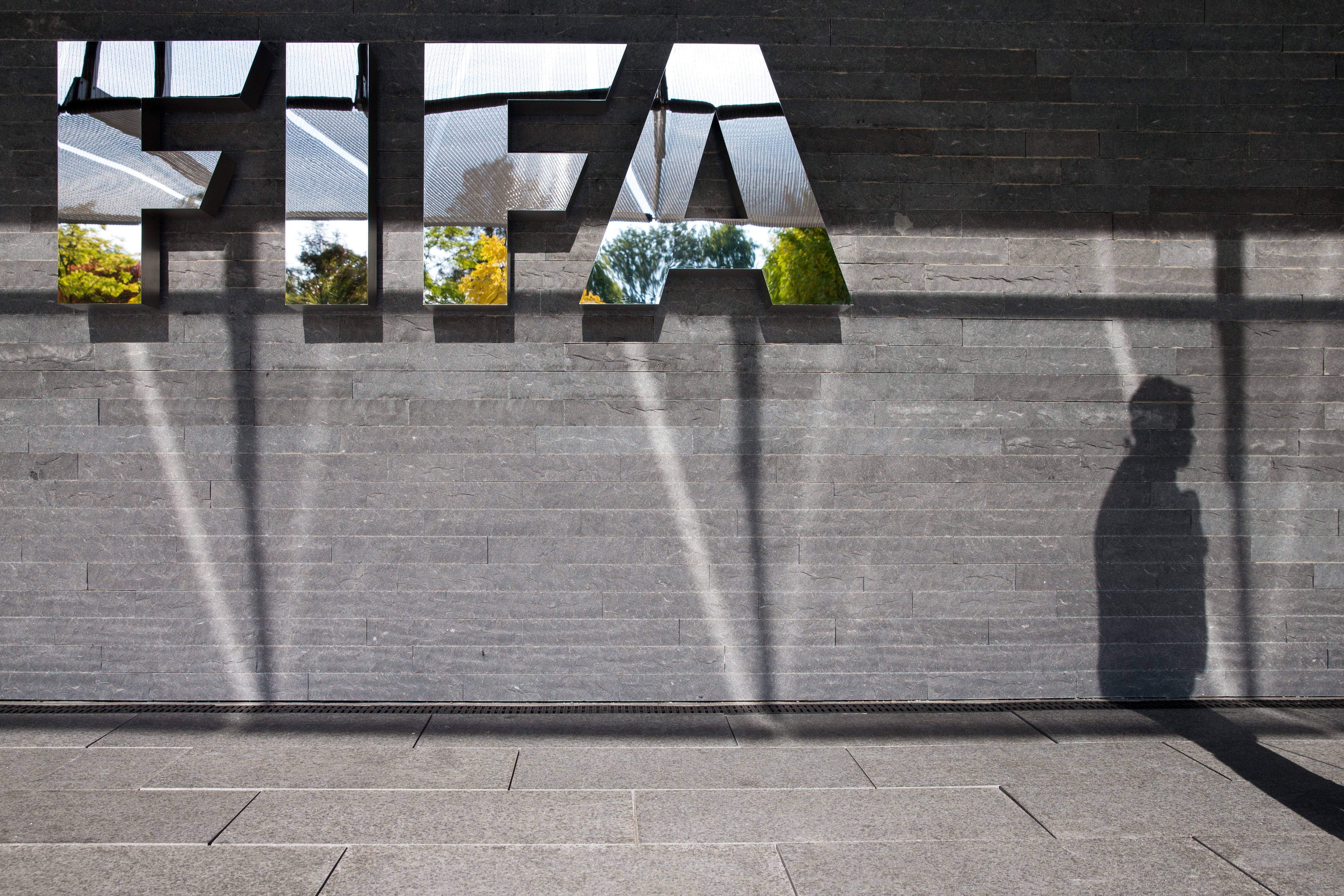 La FIFA hace oficial las siete candidaturas para presidirla La FIFA hace oficial las siete candidaturas para presidirla