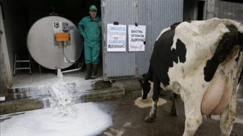 El presidente de la Organizaci&oacute;n de Productores L&aacute;cteos tira la leche almacenada 