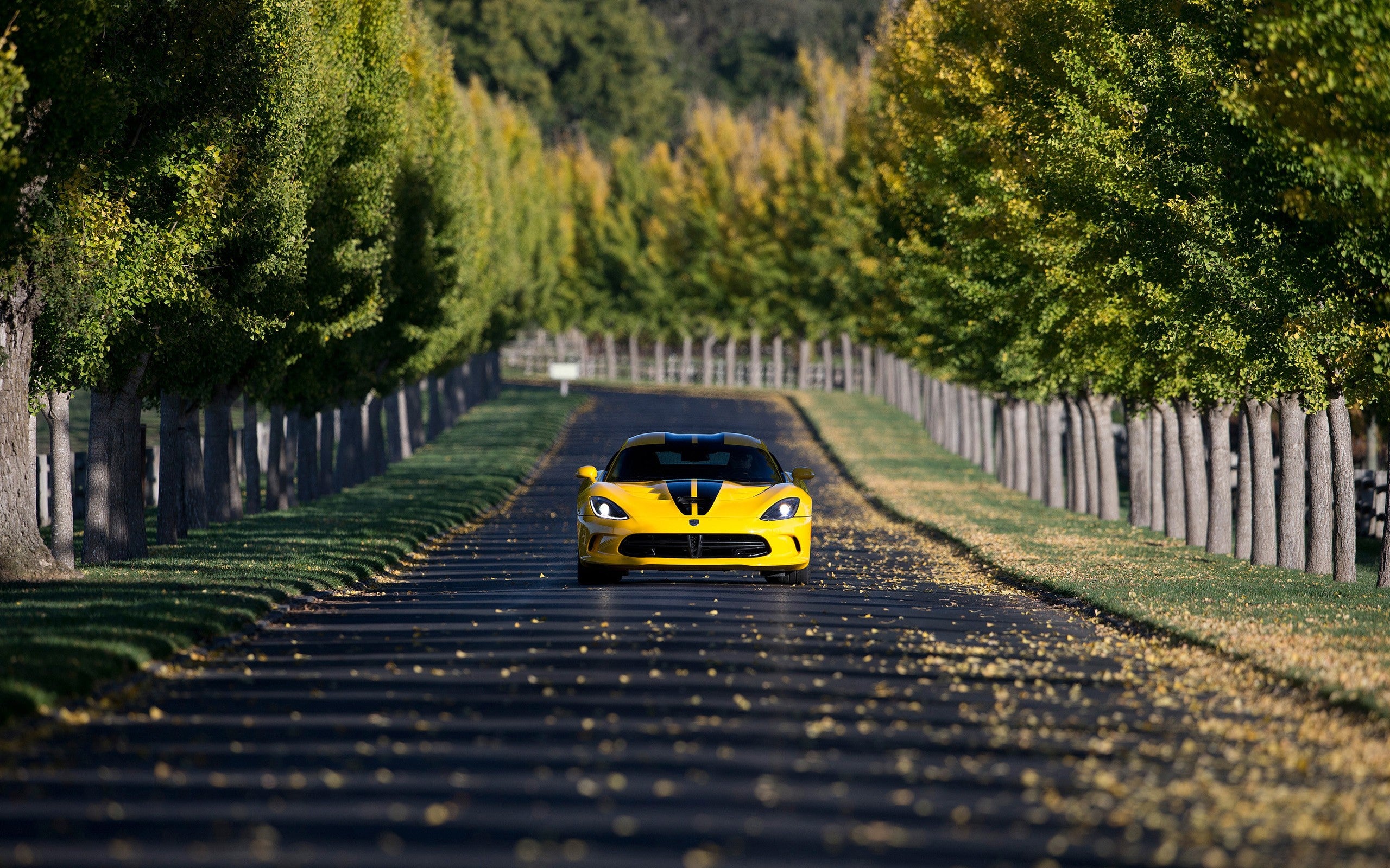 Historias del valle sin retorno: Coches amarillos / Yellow cars Historias del valle sin retorno: Coches amarillos / Yellow cars