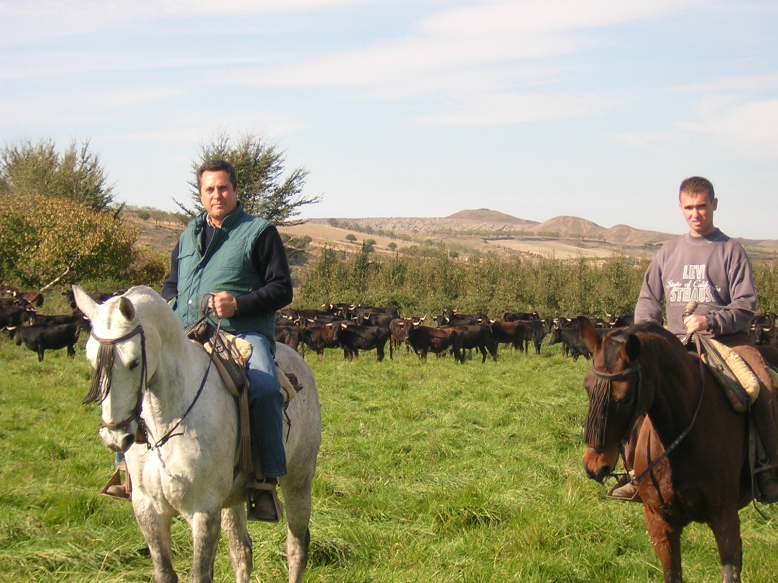 Va por ustedes. 12/04/2018 Va por ustedes. 12/04/2018