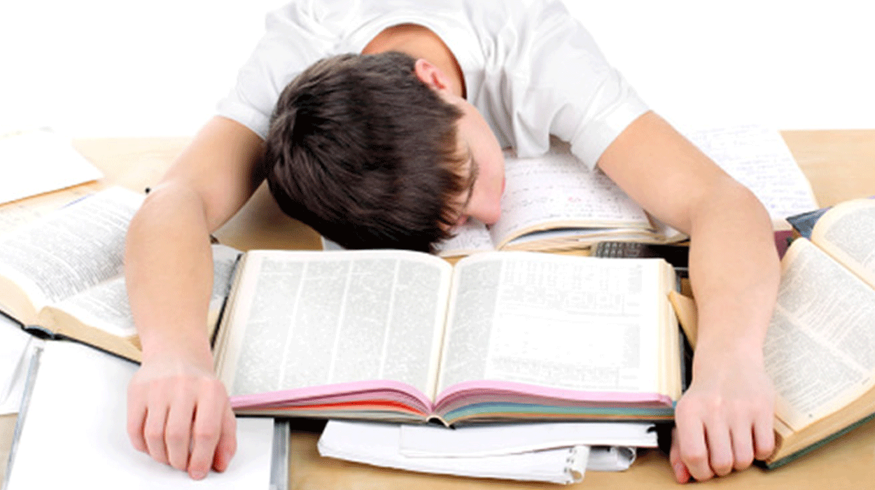 Los padres de la escuela pública exigen que no haya deberes en verano Los padres de la escuela pública exigen que no haya deberes en verano