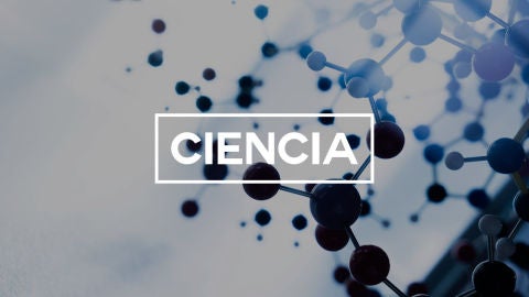 Toda la informaci&oacute;n sobre el mundo de la ciencia. 