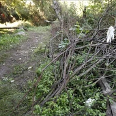 Encuentran un cadáver en el río Genil a su paso por Huétor Tájar (Granada) Encuentran un cadáver en el río Genil a su paso por Huétor Tájar (Granada)