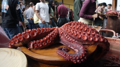 Fiestas de San Froil&aacute;n