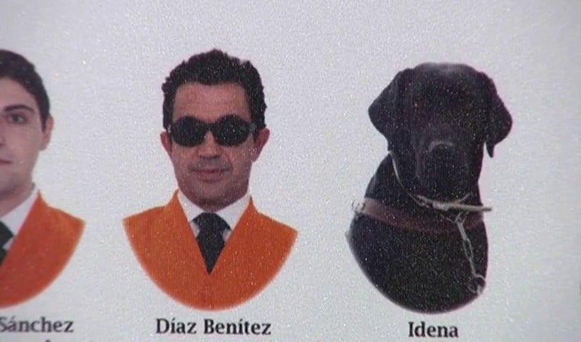 Un perro guía protagonista de la orla de Trabajo Social de la Universidad de Cádiz Un perro guía protagonista de la orla de Trabajo Social de la Universidad de Cádiz