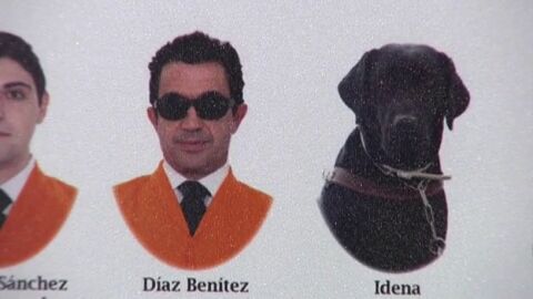 Idena, perro gu&iacute;a "graduado" en Trabajo Social en la Universidad de C&aacute;diz