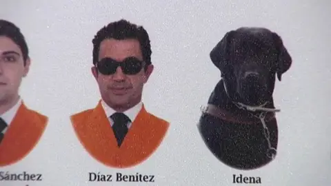 Idena, perro guía "graduado" en Trabajo Social en la Universidad de Cádiz Idena, perro guía "graduado" en Trabajo Social en la Universidad de Cádiz