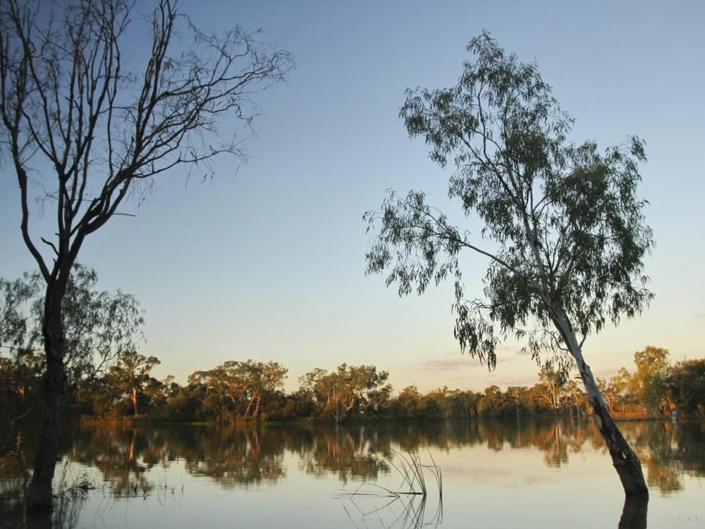 Divulga que algo queda: 2021, el año de la reconstrucción de los ecosistemas Divulga que algo queda: 2021, el año de la reconstrucción de los ecosistemas