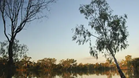 Los 10 ecosistemas en peligro crítico de extinción Los 10 ecosistemas en peligro crítico de extinción