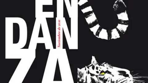 Cartel de Madrid en Danza Cartel de Madrid en Danza