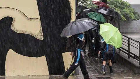 Lluvia y paraguas Lluvia y paraguas