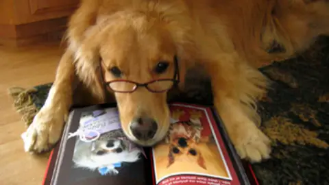 Perro Perro leyendo